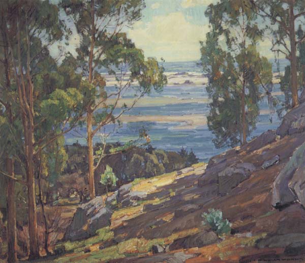 Eucalyptus Trees and Bay